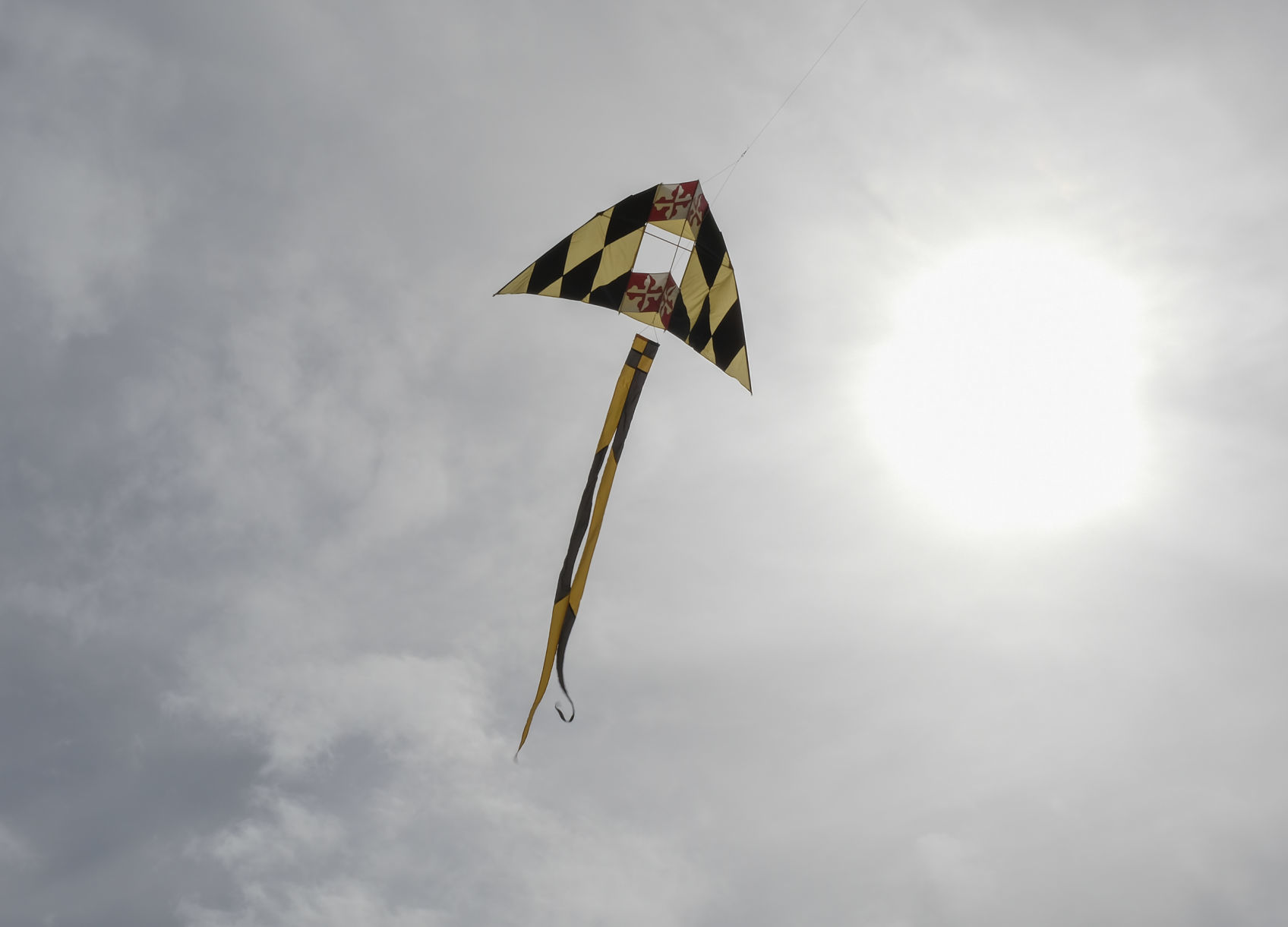 041518 Family Kite Fest 06.jpg